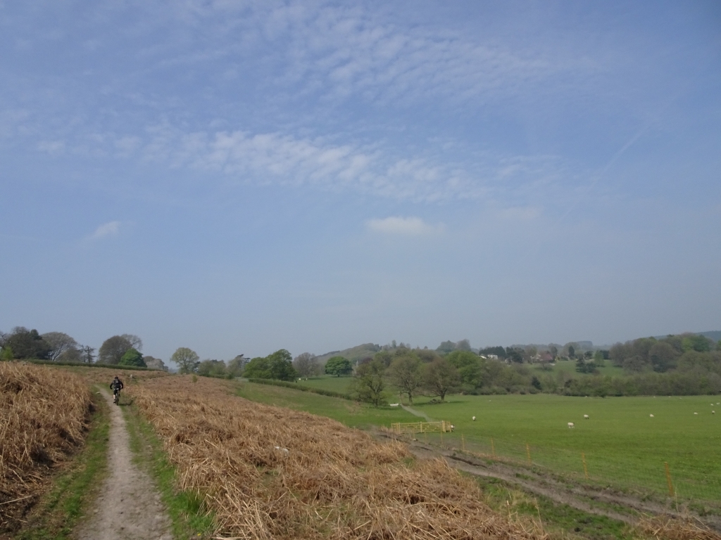 ambergate 4